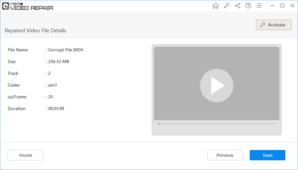preview the recovered video file and save