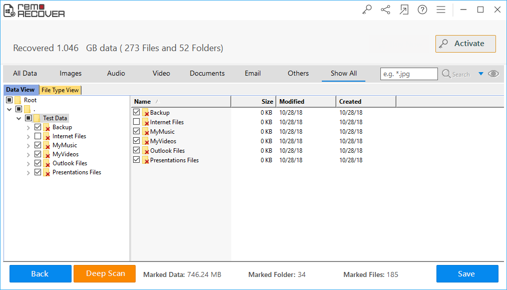 the recovered files will be displayed in data type view and file type view. select the files you want to recover