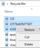Click on the restore button to recover the files