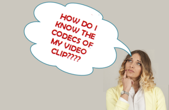 비디오 클립의 코덱을 알고하는 방법