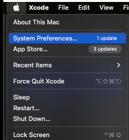 click on the system preferences