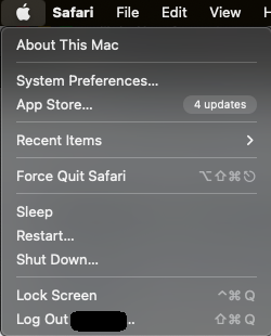 click on the system preferences option