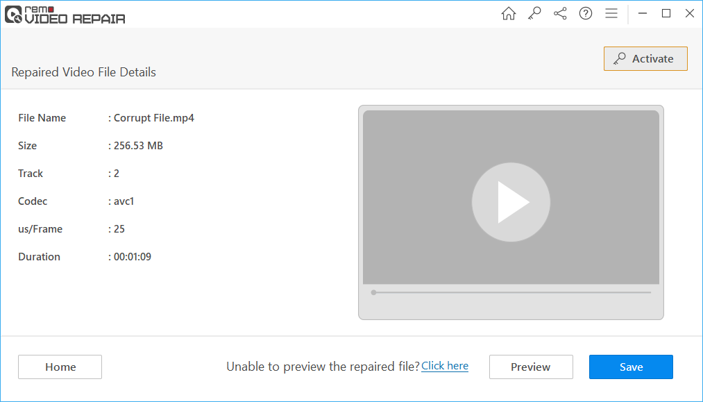 preview repaired video file