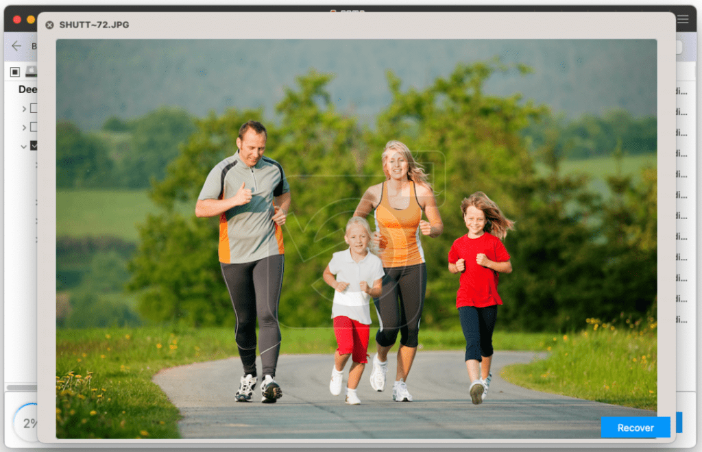 preview the recovered data from mac SD card