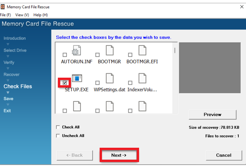 choose from the recoverable files
